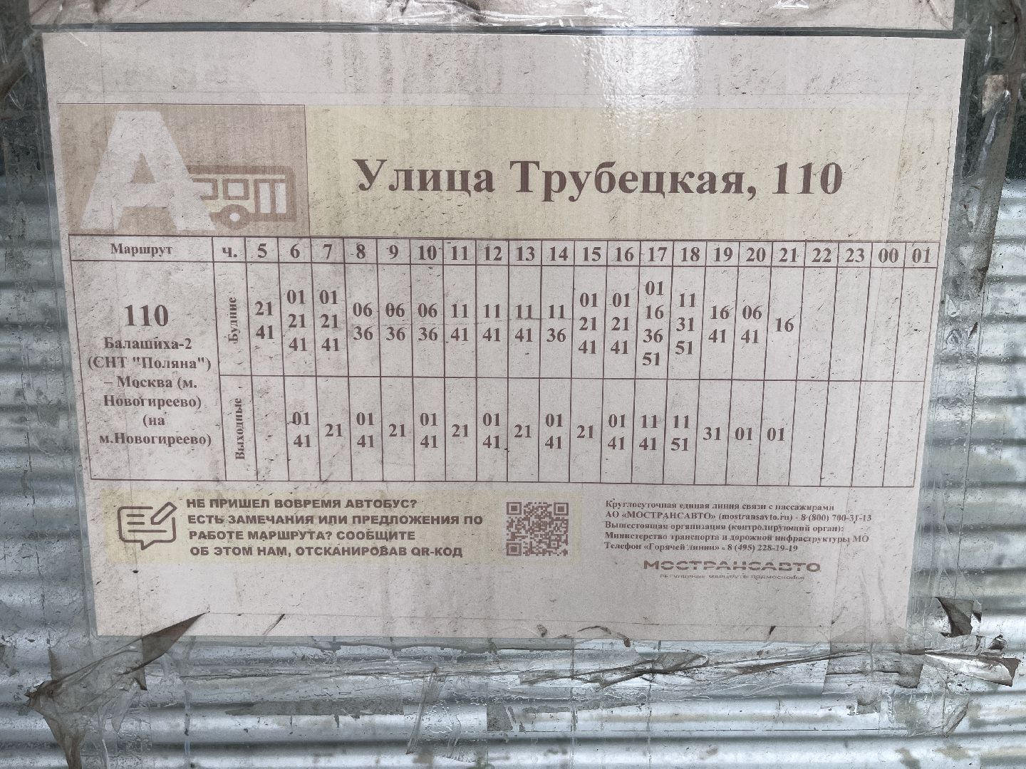 автобус, автобусы, новые автобусы, новый автобус, транспорт, общественный транспорт,