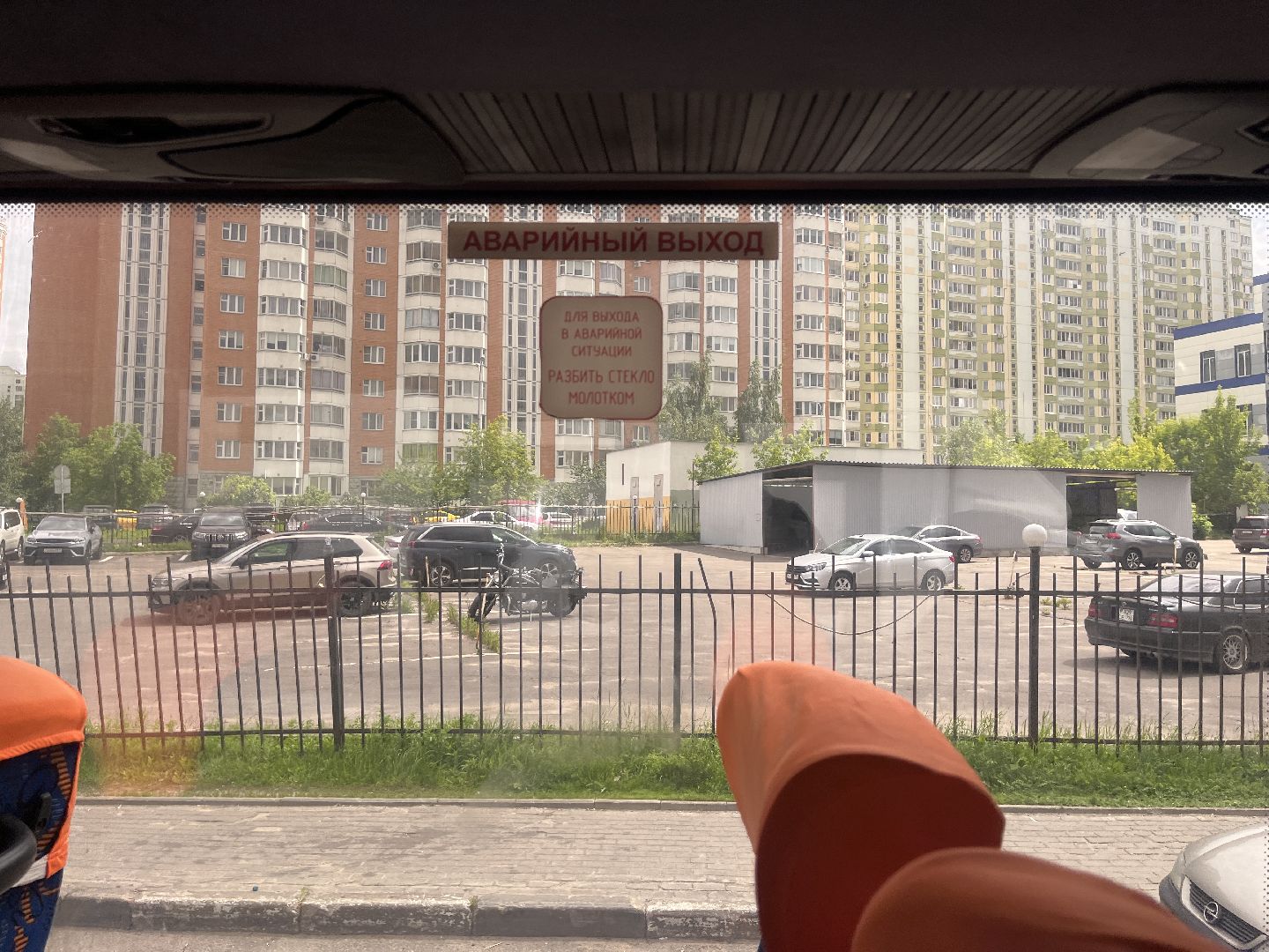 автобус, автобусы, новые автобусы, новый автобус, транспорт, общественный транспорт,