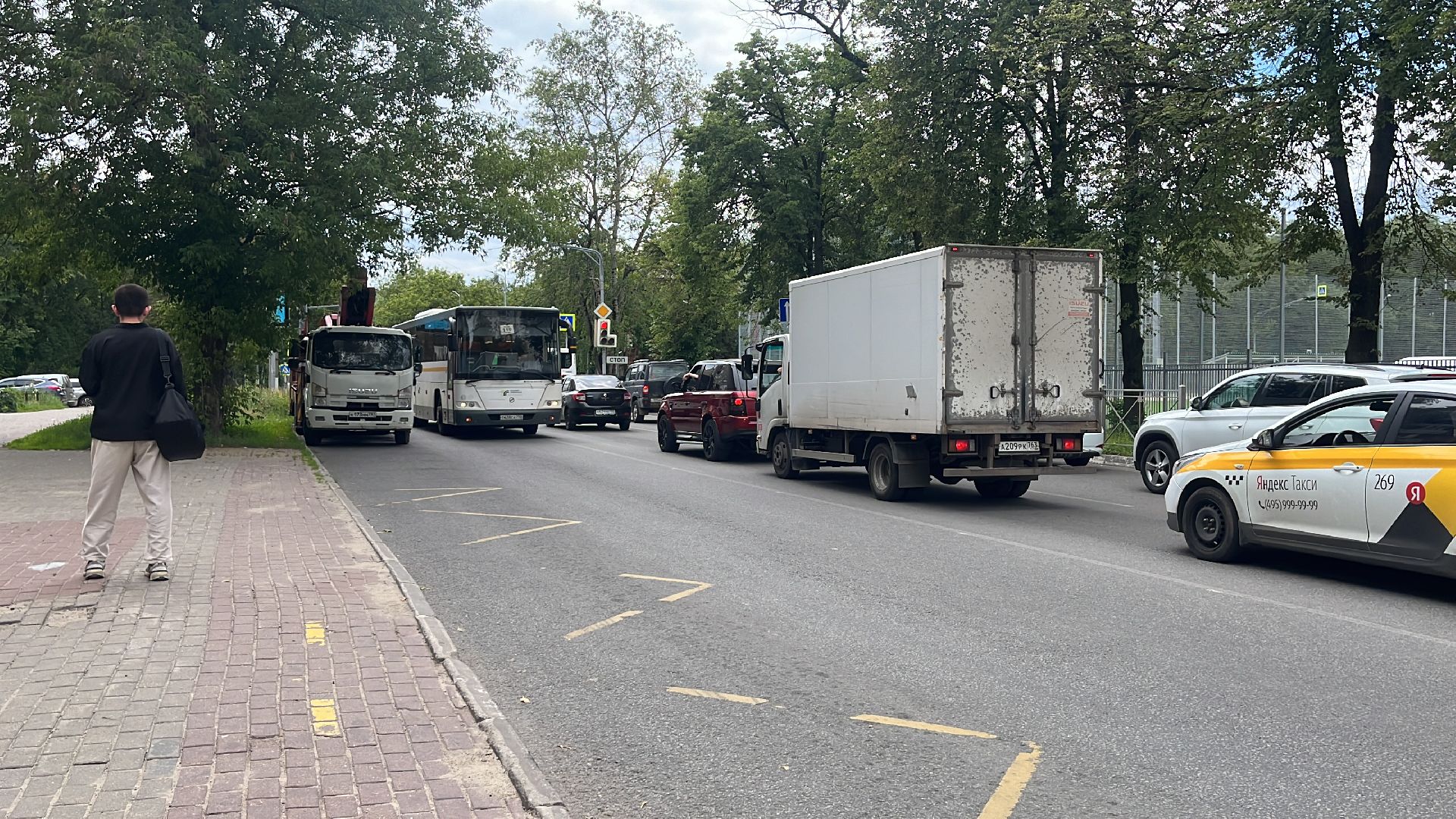 автобус, автобусы, новые автобусы, новый автобус, транспорт, общественный транспорт,