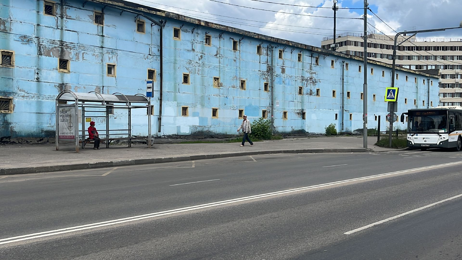 автобус, автобусы, новые автобусы, новый автобус, транспорт, общественный транспорт,