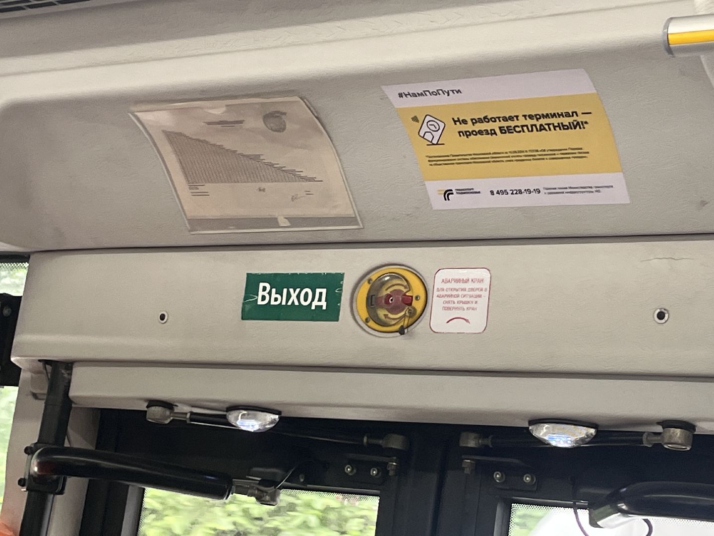 автобус, автобусы, новые автобусы, новый автобус, транспорт, общественный транспорт,