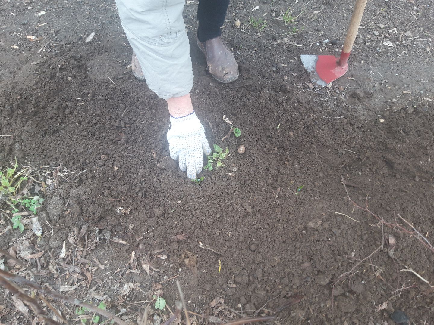 двор, доброе дело,