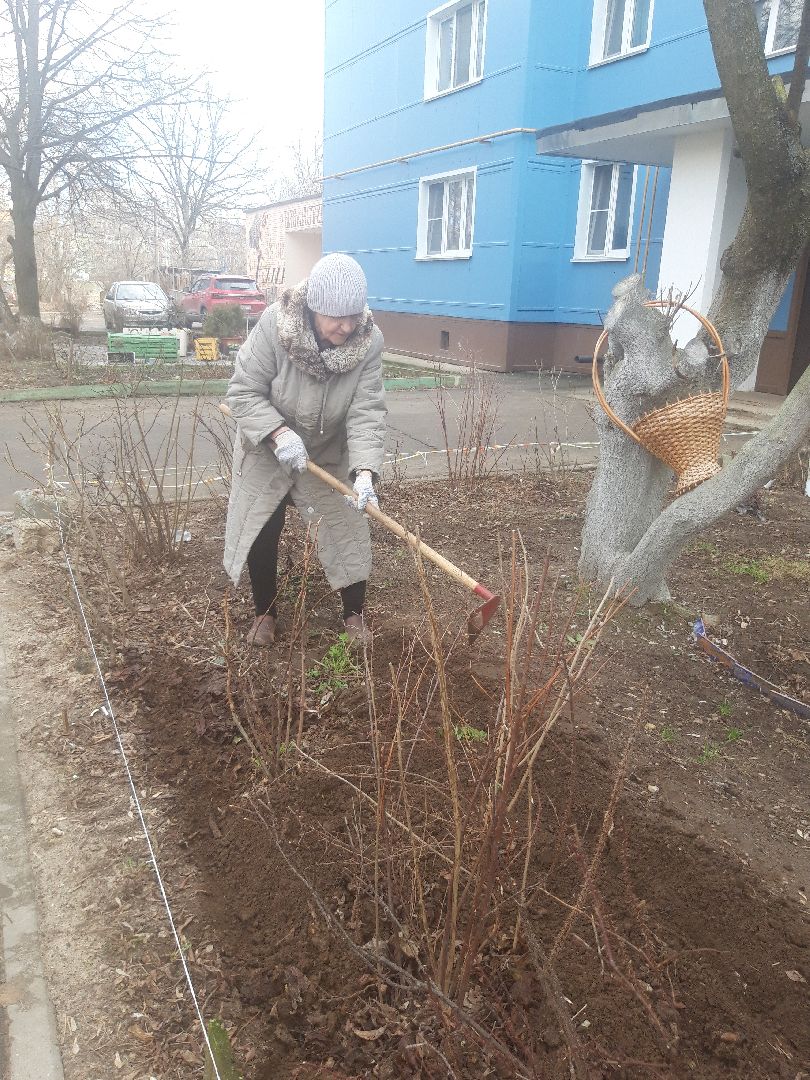 двор, доброе дело,