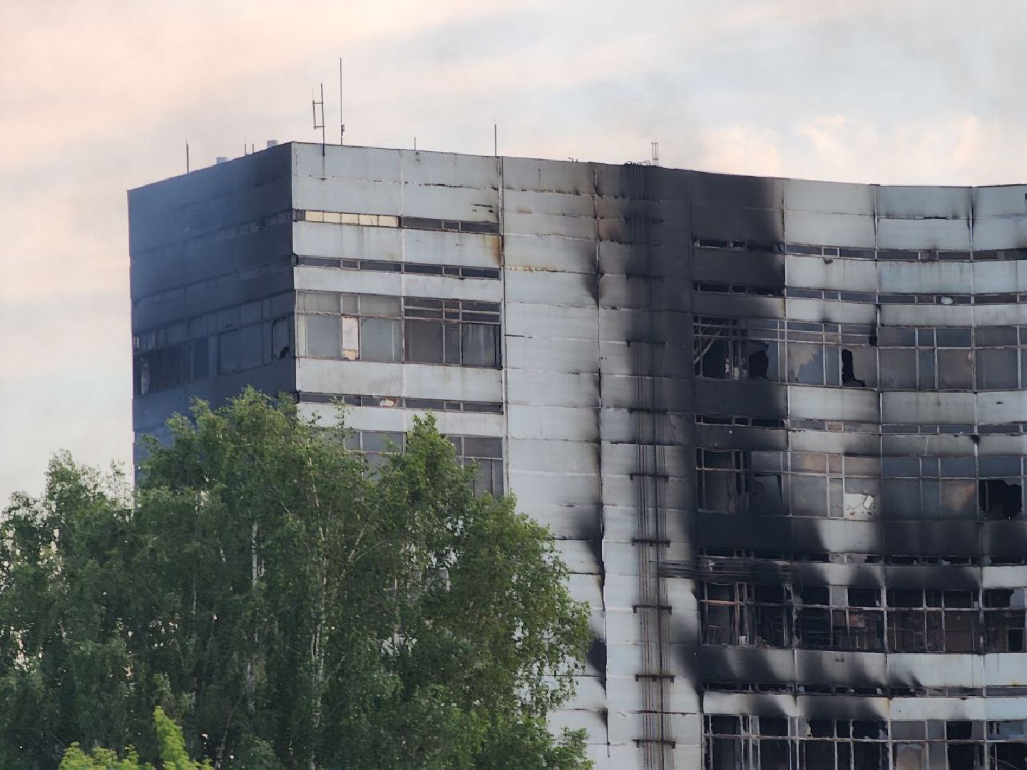 фрязино, пожары, мчс, спасатели,