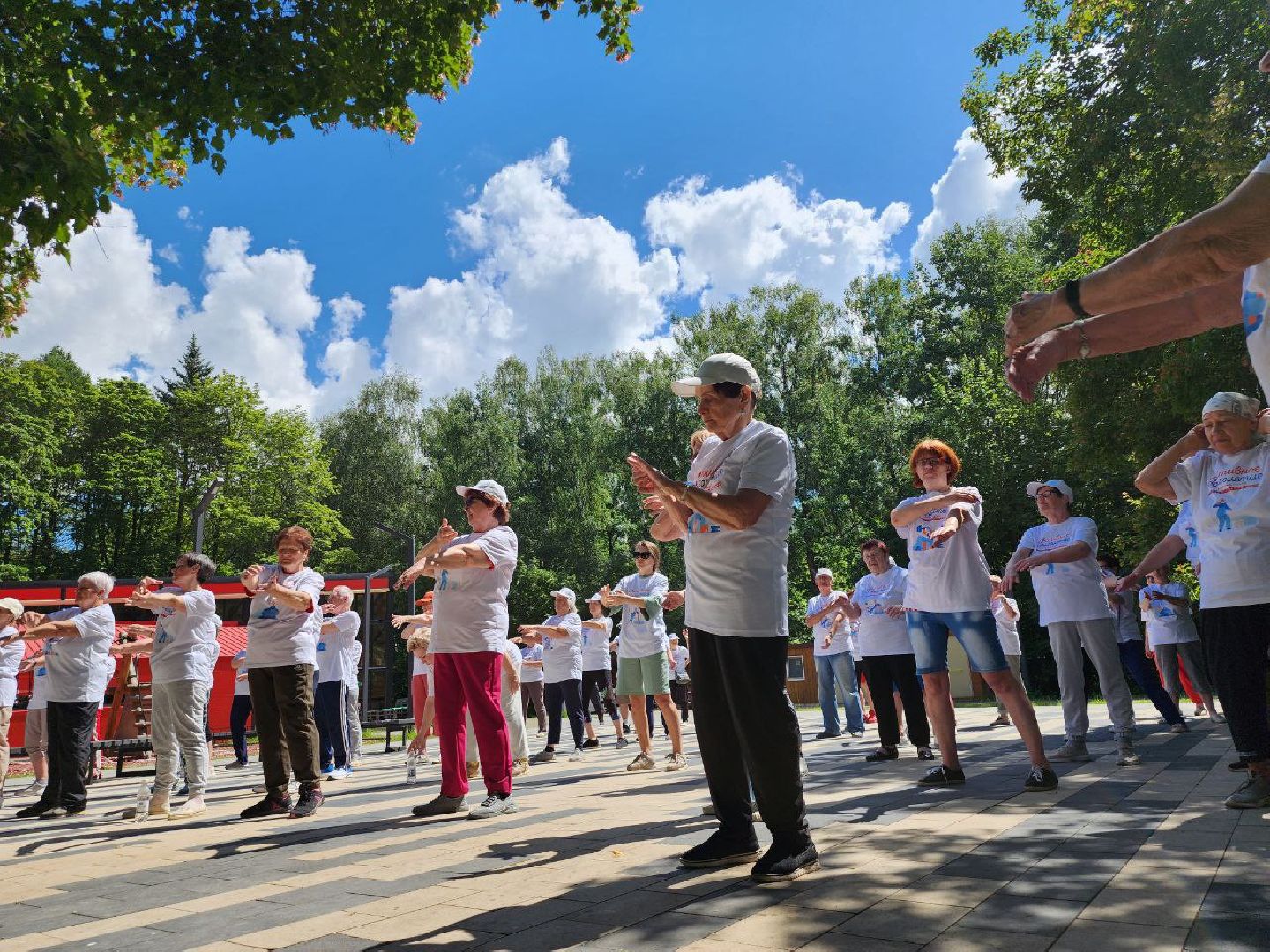 активное долголетие,зарядка долголетов, общеобластная зарядка, парк апаринки, видное, ленинский округ,