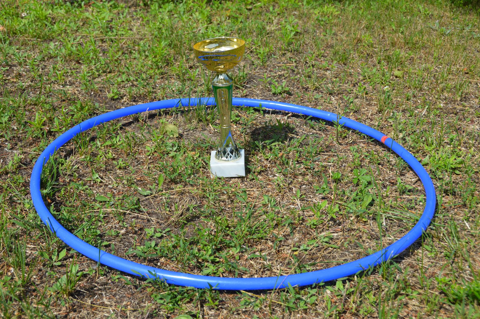 шатура, петровское, олимпиада, праздник, спорт,