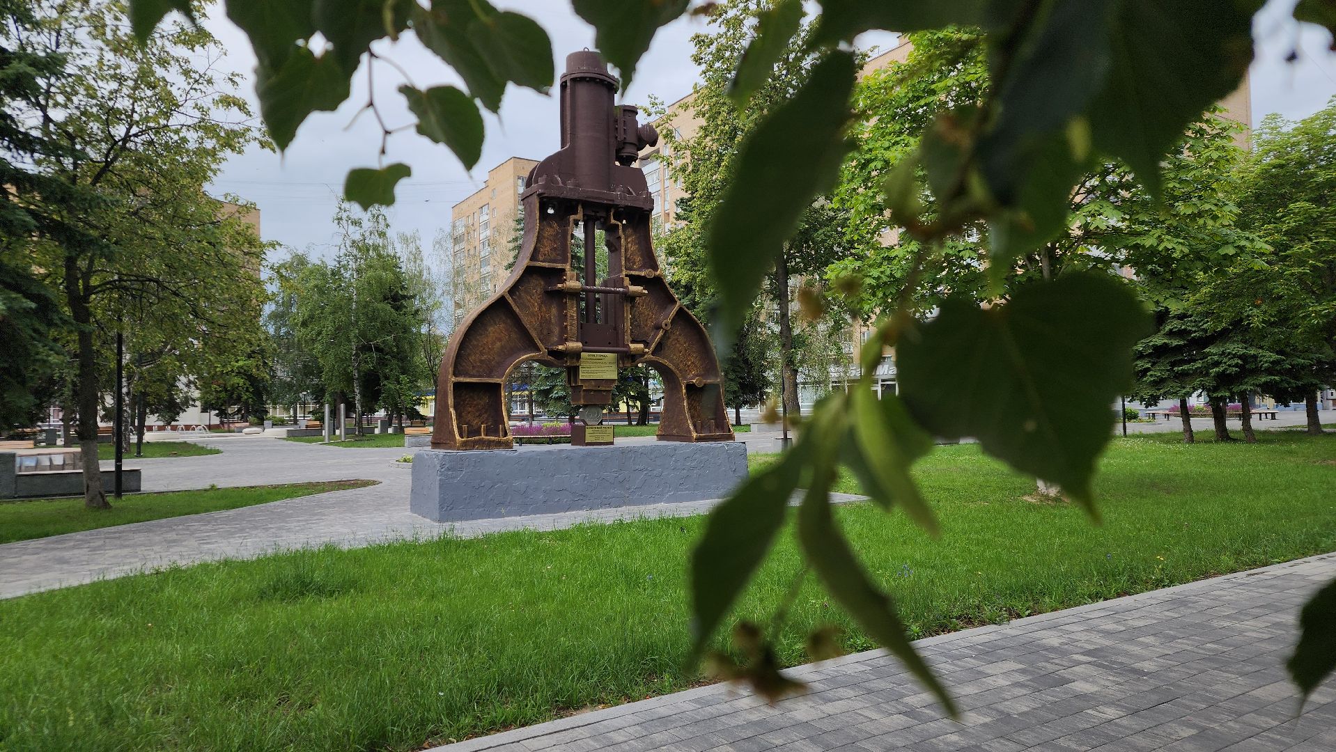 ступино, липовый цвет, природа подмосковья,