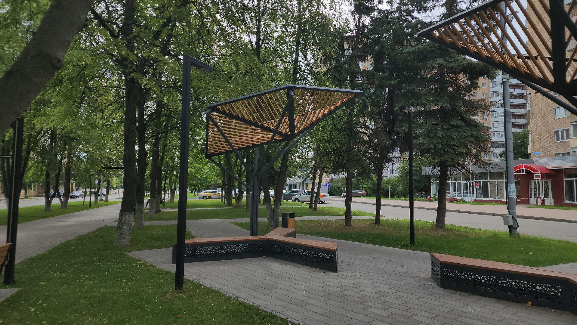 ступино, липовый цвет, природа подмосковья,