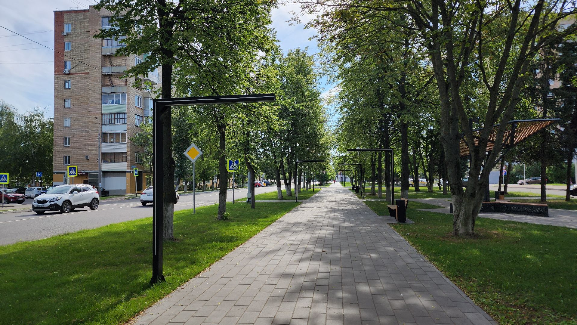 ступино, липовый цвет, природа подмосковья,