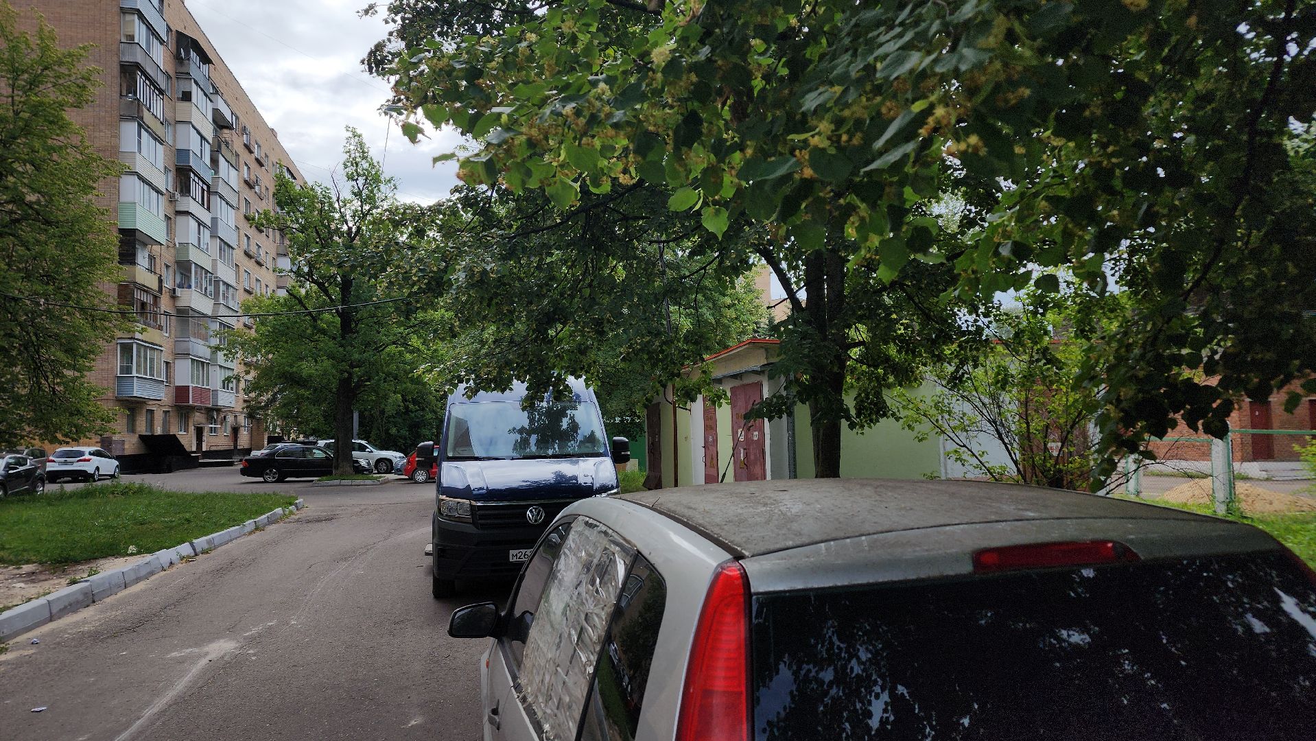 ступино, липовый цвет, природа подмосковья,