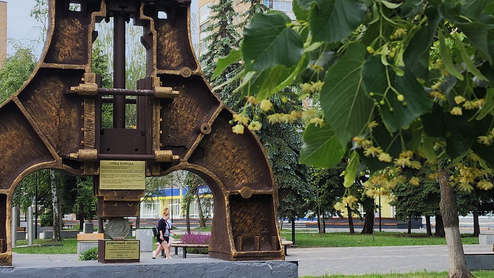 ступино, липовый цвет, природа подмосковья,