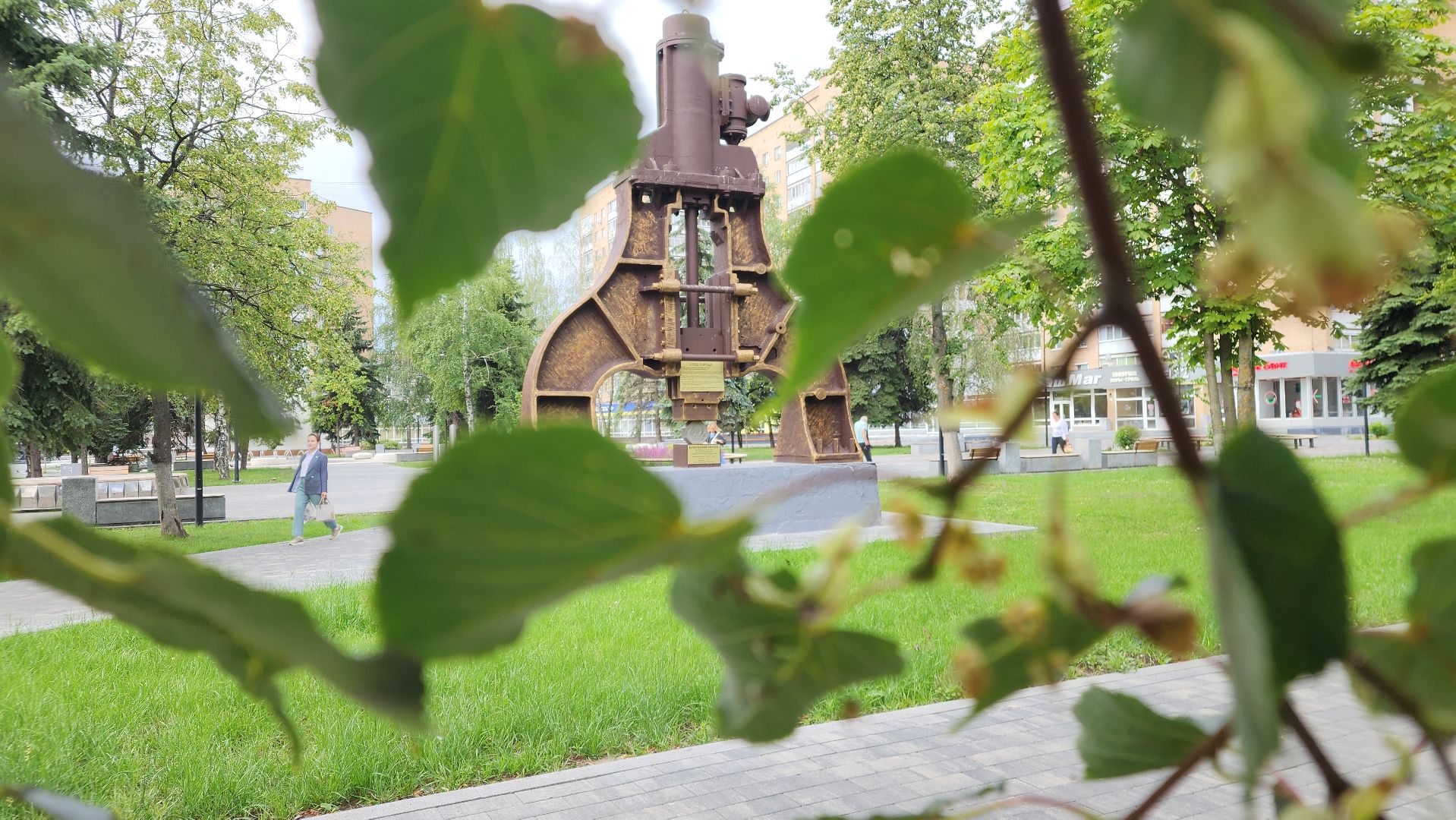 ступино, липовый цвет, природа подмосковья,