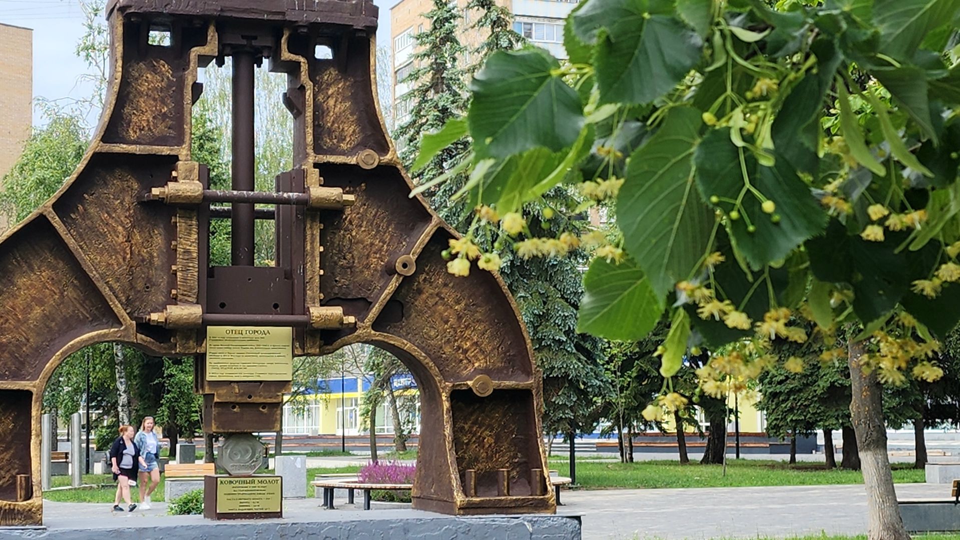 ступино, липовый цвет, природа подмосковья,