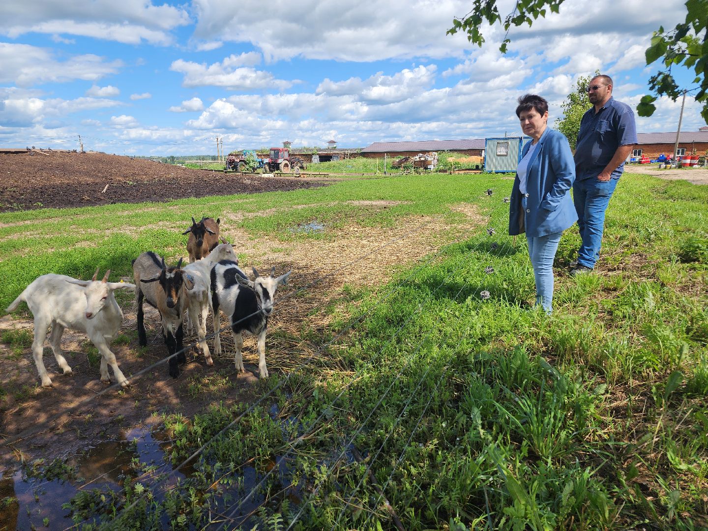 волоколамск, фермер, молоко,