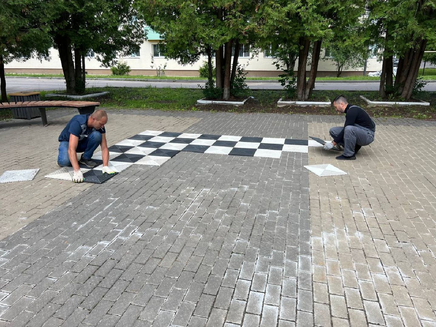 арт объект, шахматы, сквер, городской округ восход, жители,