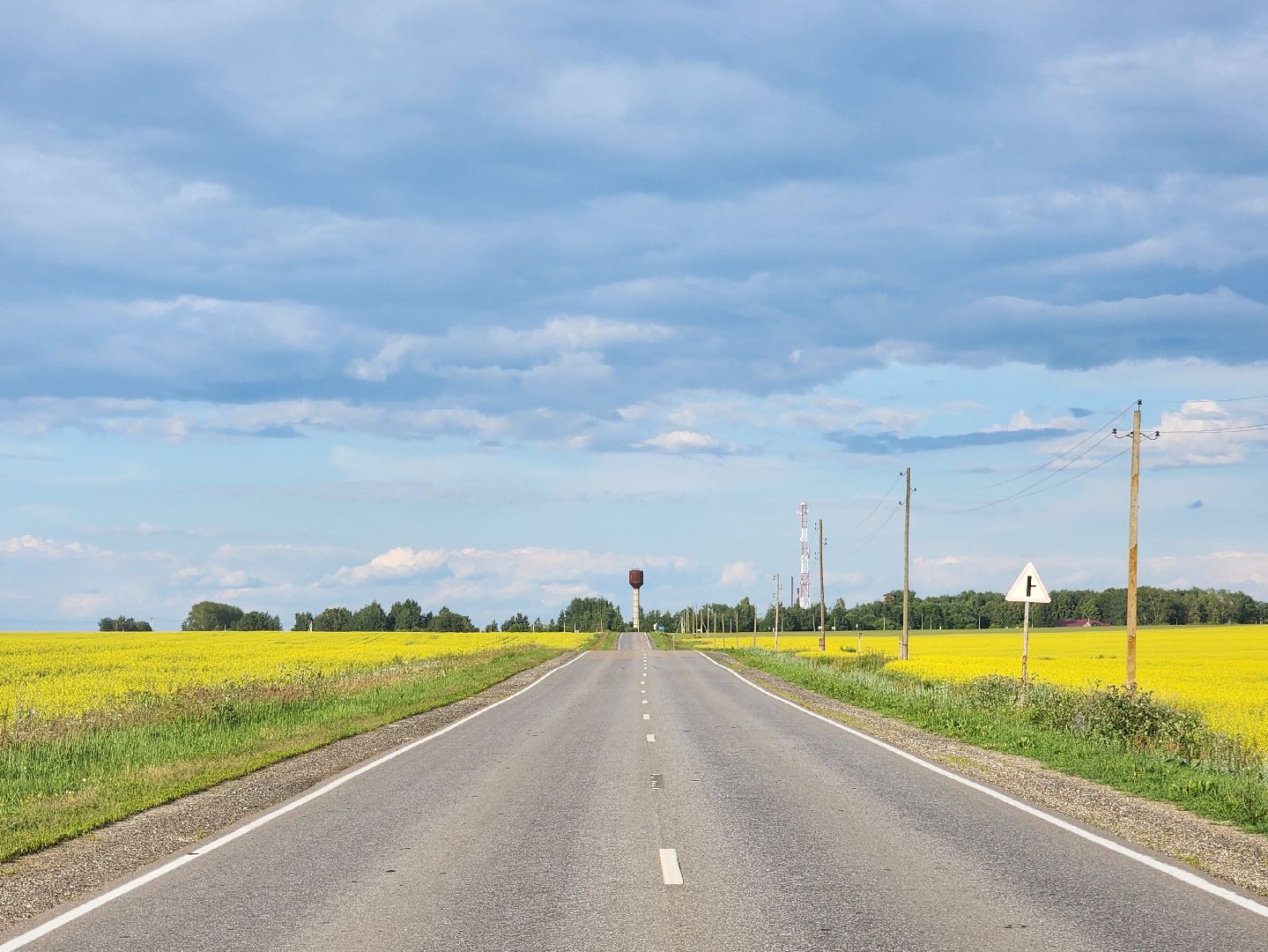 Зарайск, яровые, фотосессия,