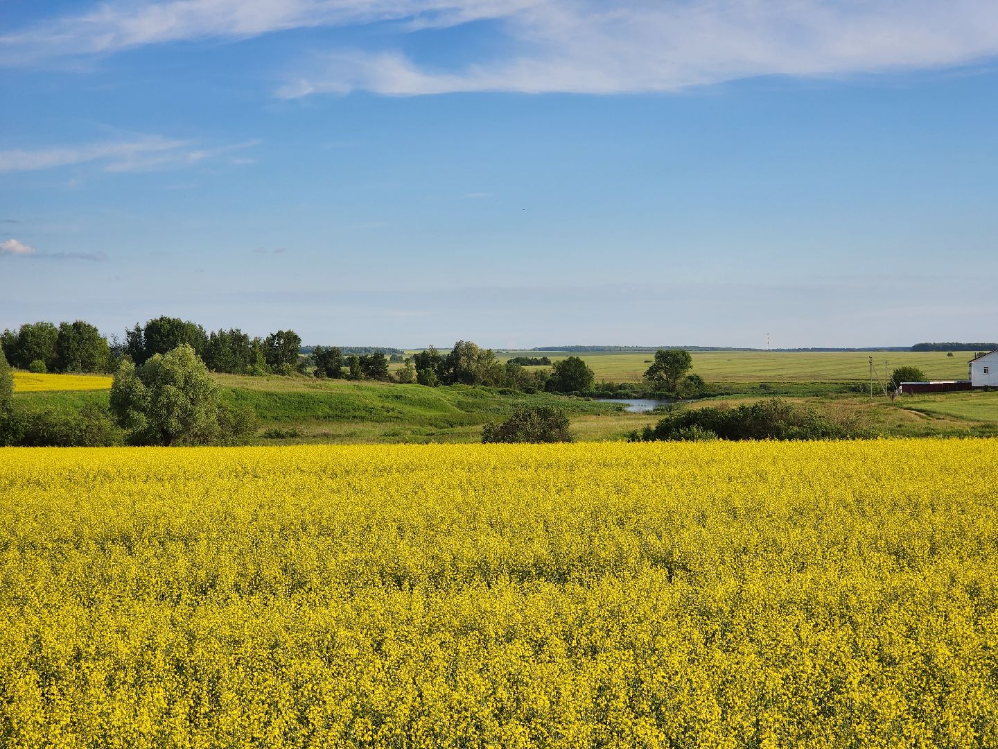 Зарайск, яровые, фотосессия,