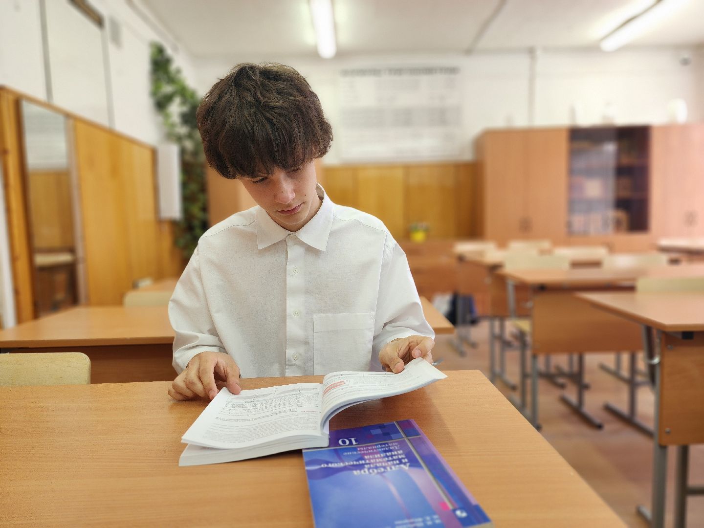 воскресенск, образование, егэ, стобалльники,