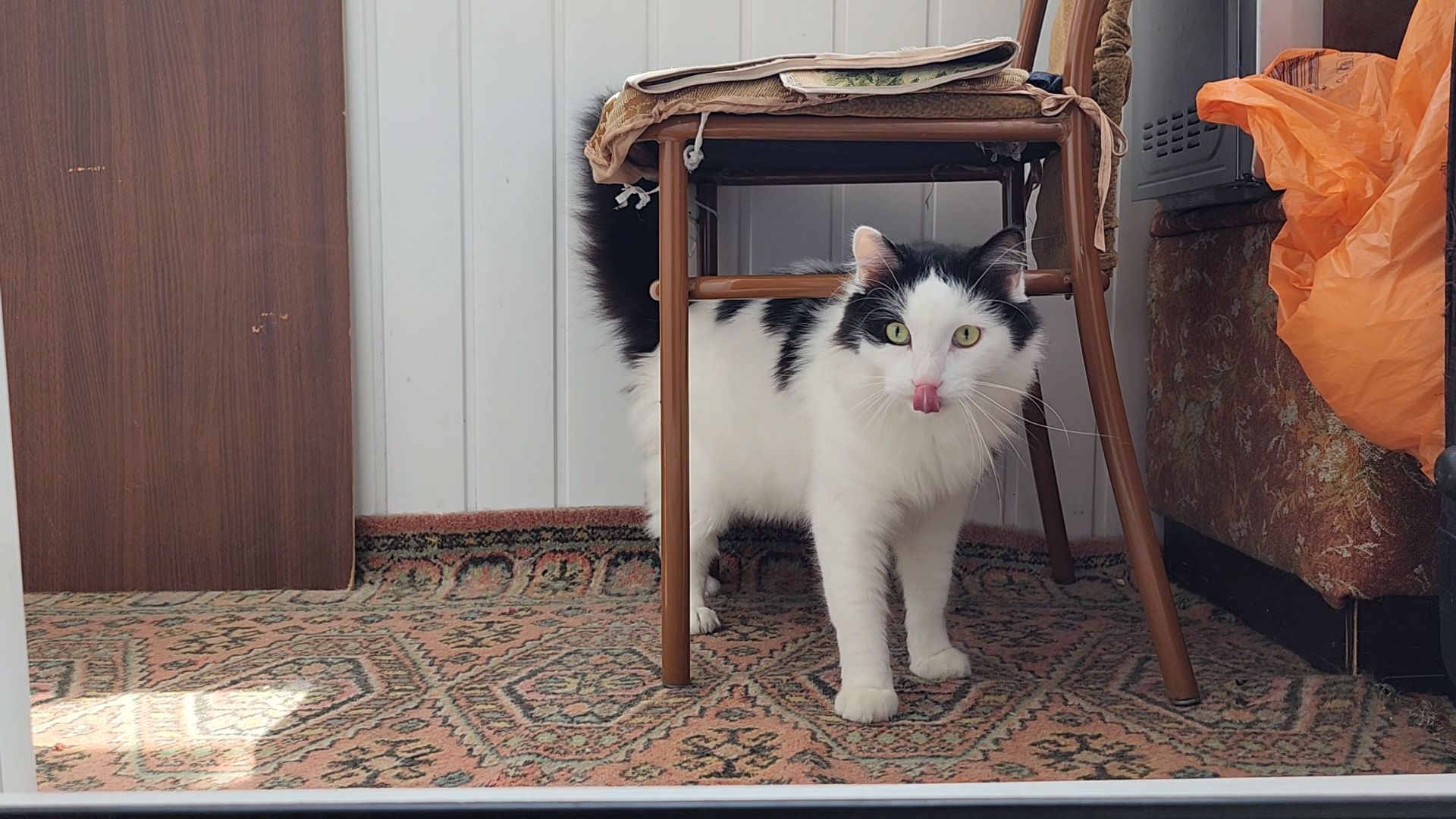 переселение из аварийного жилья, сертификат на жилье, аварийное жилье, Старая Купавна, Богородский городской округ,