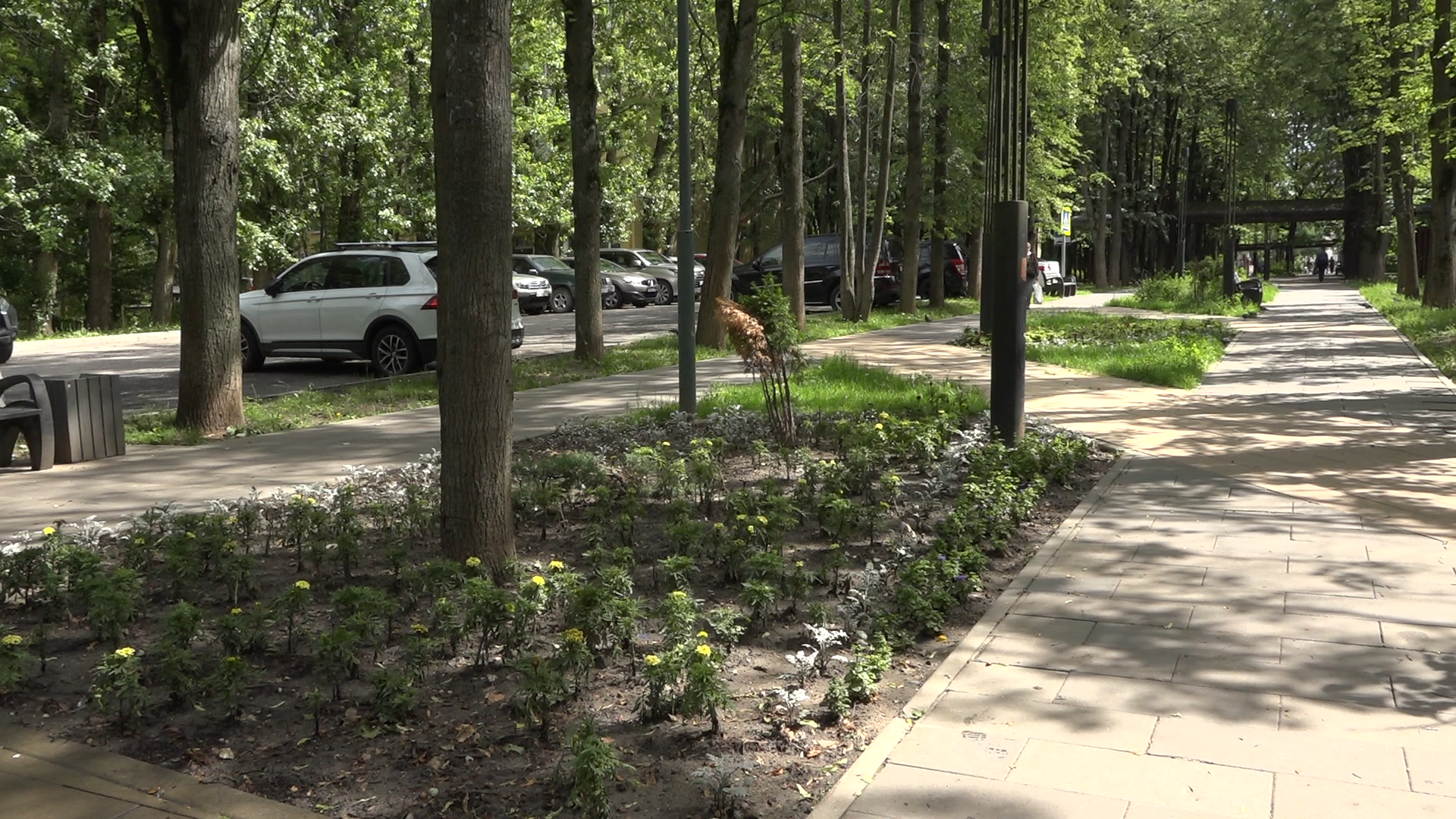 обход территории власиха, микрорайон заозерный власиха,обращения жителей власихи, благоустройство территории, верхнее озеро во власихе,