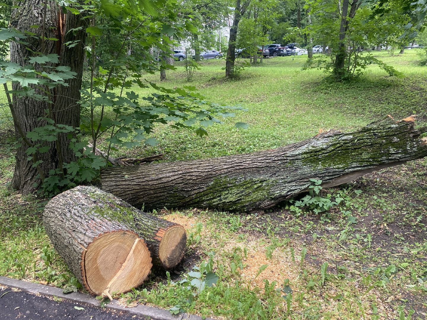 обход территории власиха, микрорайон заозерный власиха,обращения жителей власихи, благоустройство территории, верхнее озеро во власихе,