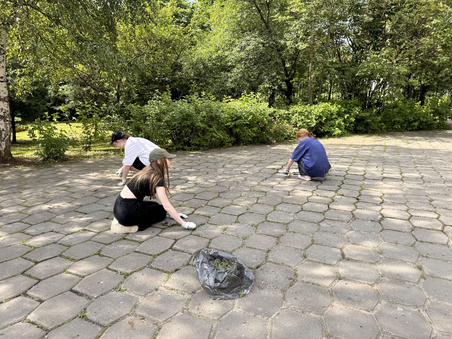 Одинцово, Трудовые бригады, Одинцовская гимназия 4, Образование,