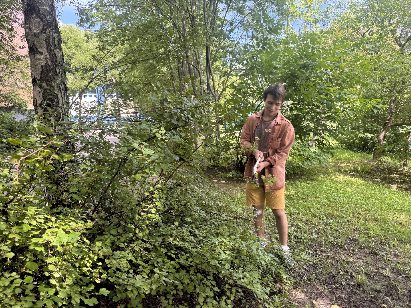 Одинцово, Трудовые бригады, Одинцовская гимназия 4, Образование,