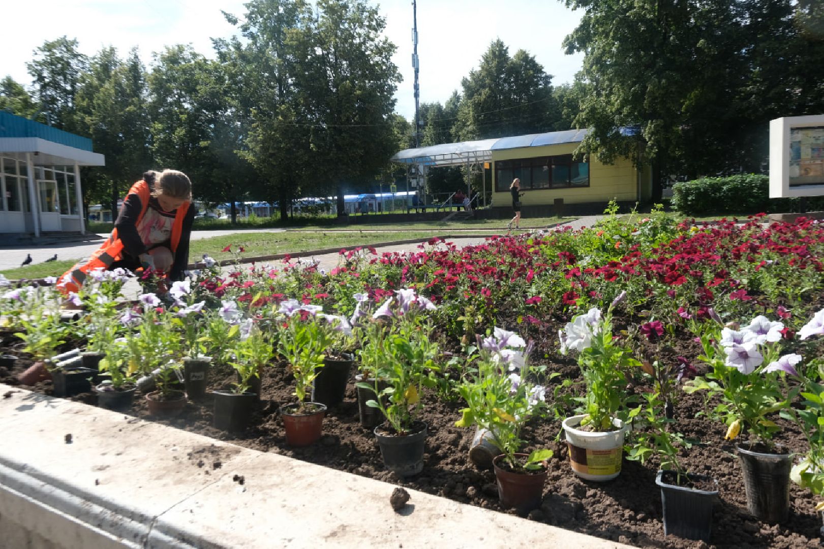 пущино, серпухов, благоустройство,