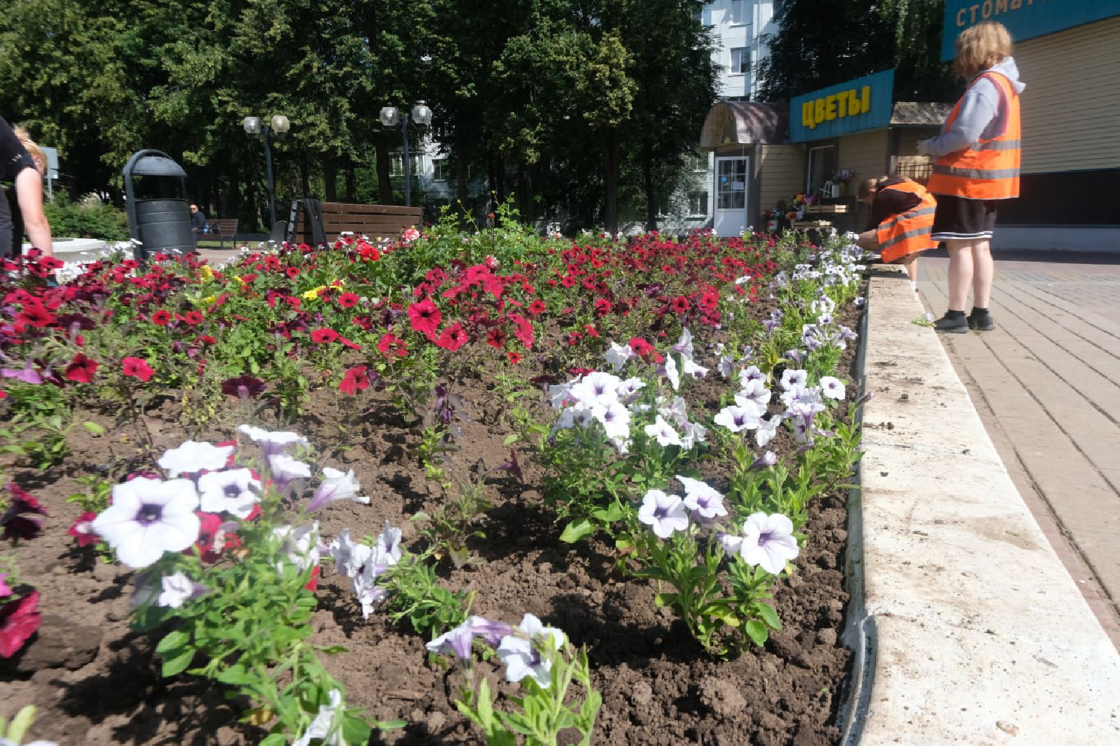 пущино, серпухов, благоустройство,