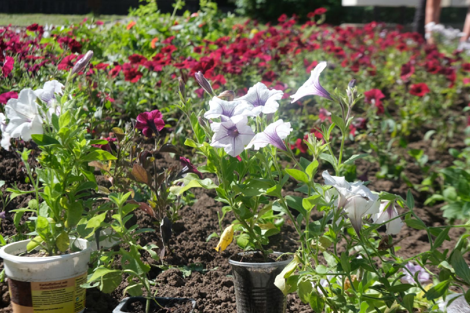 пущино, серпухов, благоустройство,