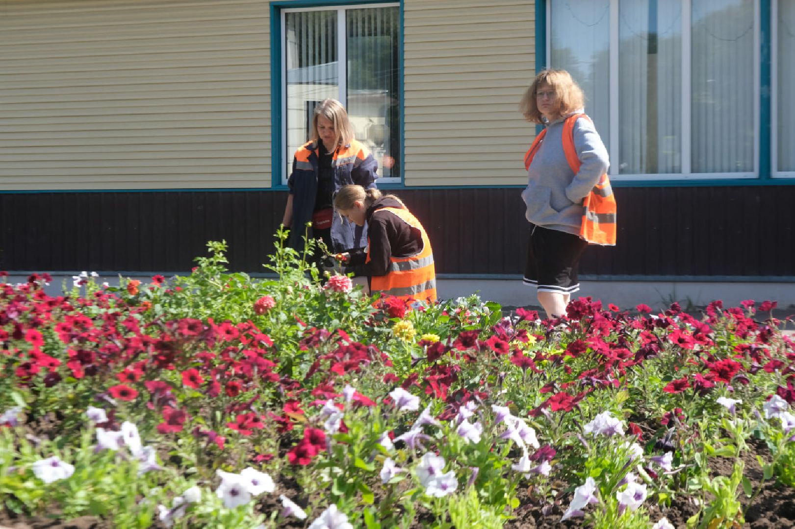 пущино, серпухов, благоустройство,