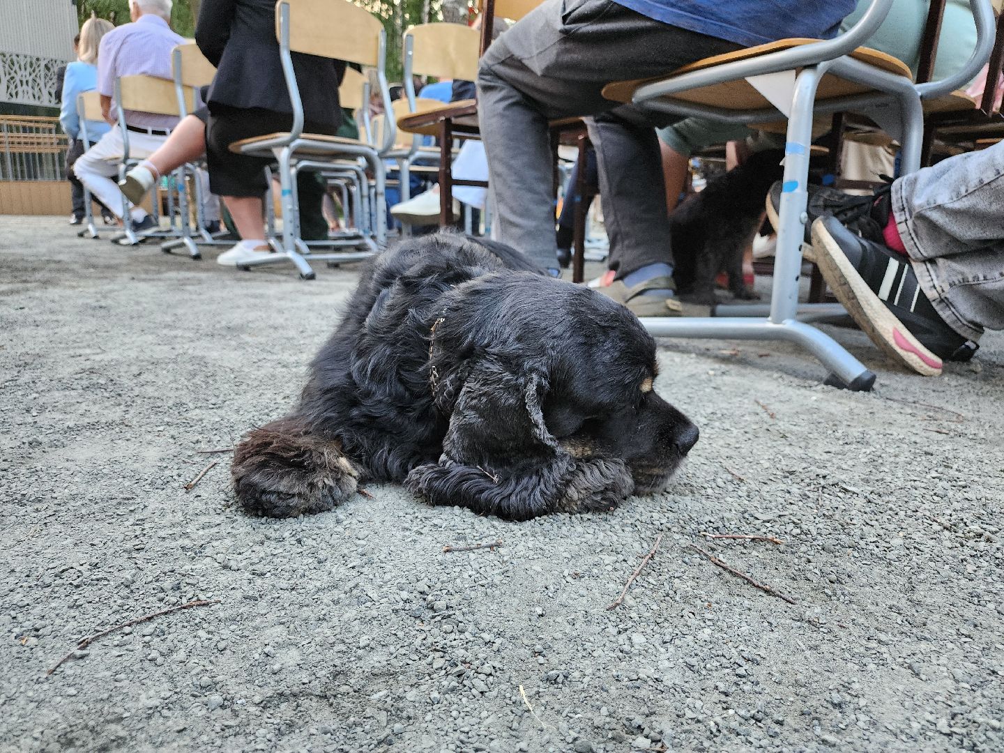 выездная администрация, видновский лесопарк, лесопарк высота, видное, ольховая, ленинский округ, встреча с жителями, станислав каторов,