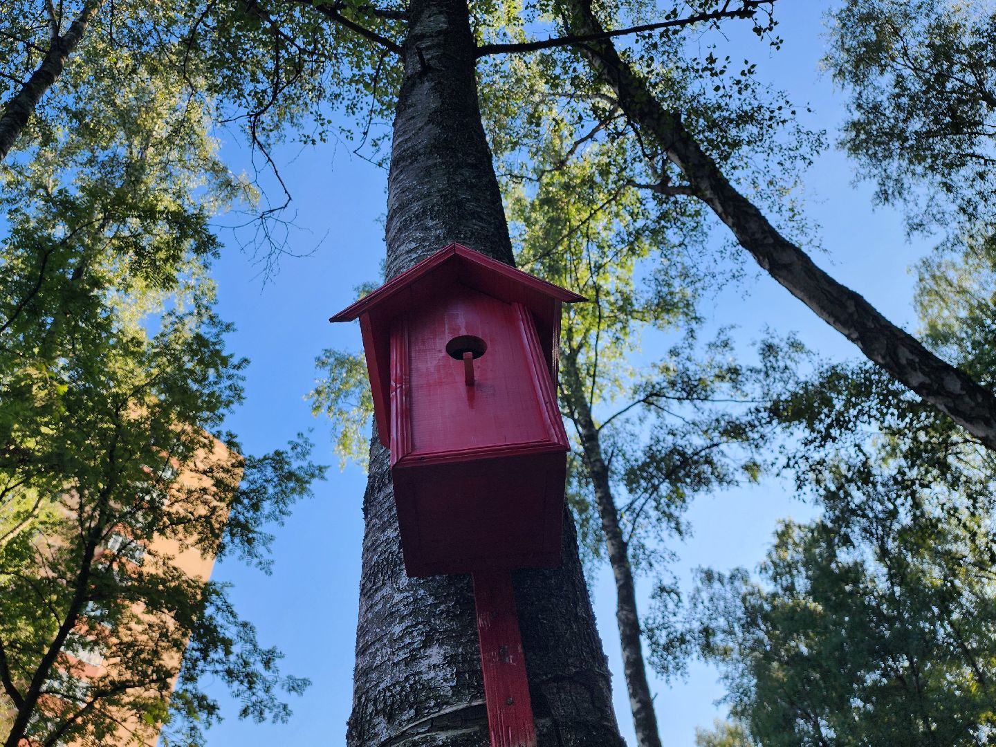 выездная администрация, видновский лесопарк, лесопарк высота, видное, ольховая, ленинский округ, встреча с жителями, станислав каторов,