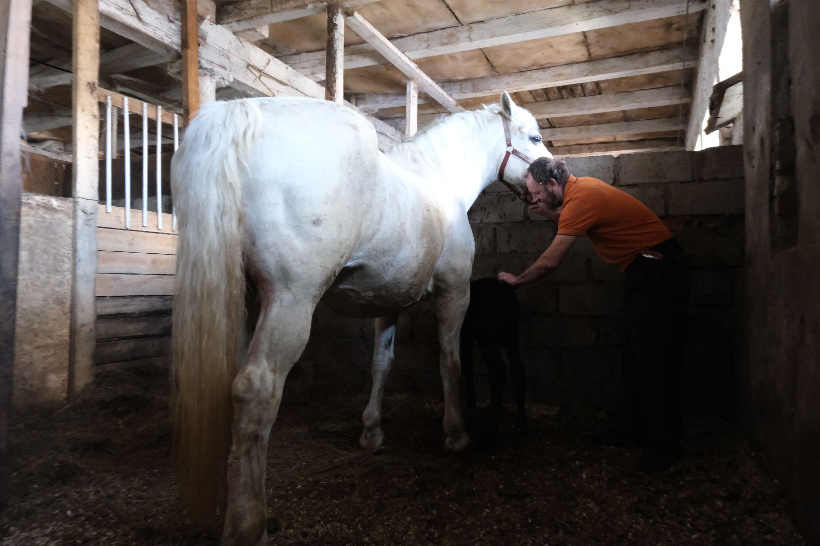 пущино, серпухов, лето в подмосковье, туризм в подмосковье,