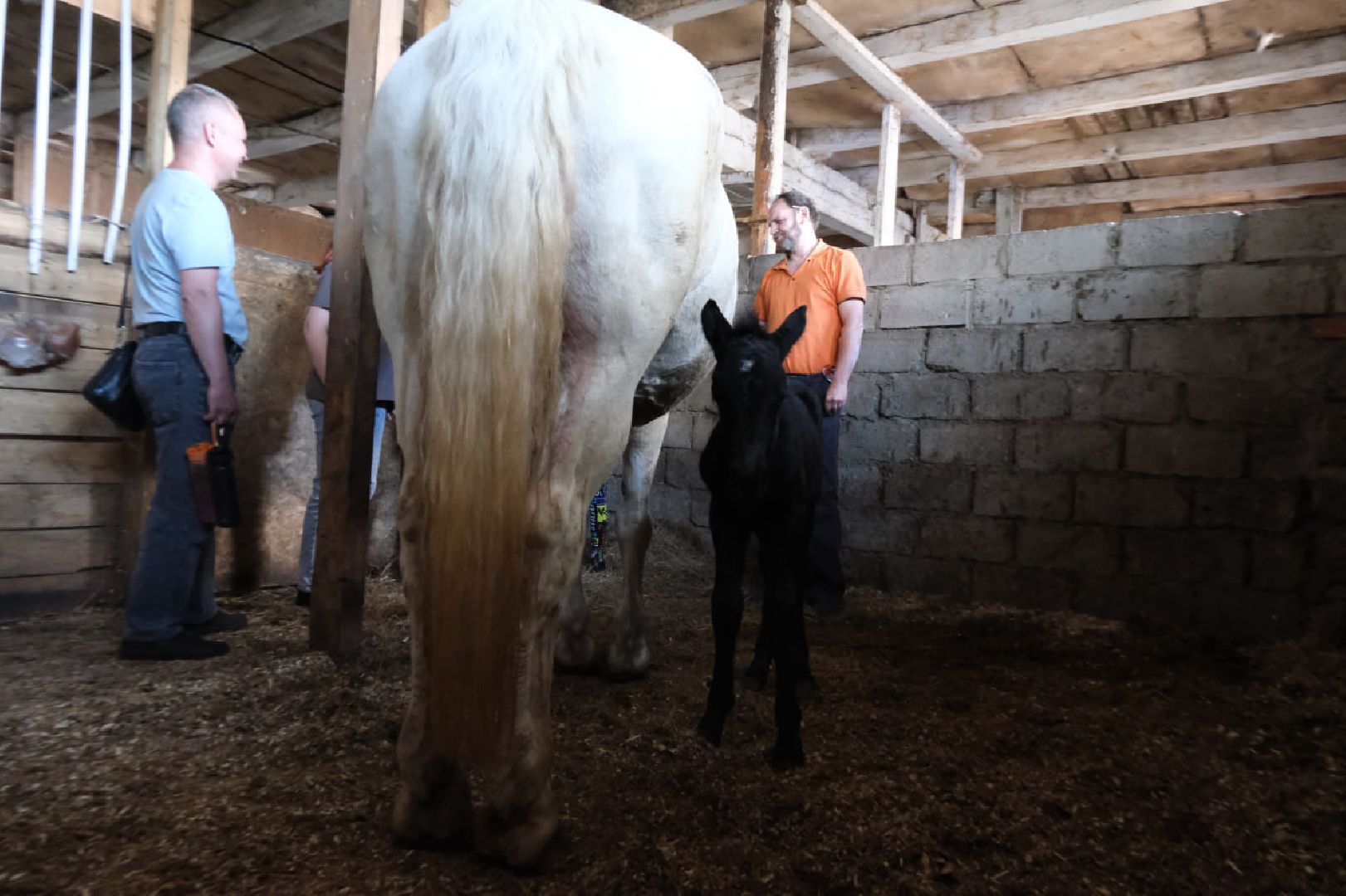 пущино, серпухов, лето в подмосковье, туризм в подмосковье,