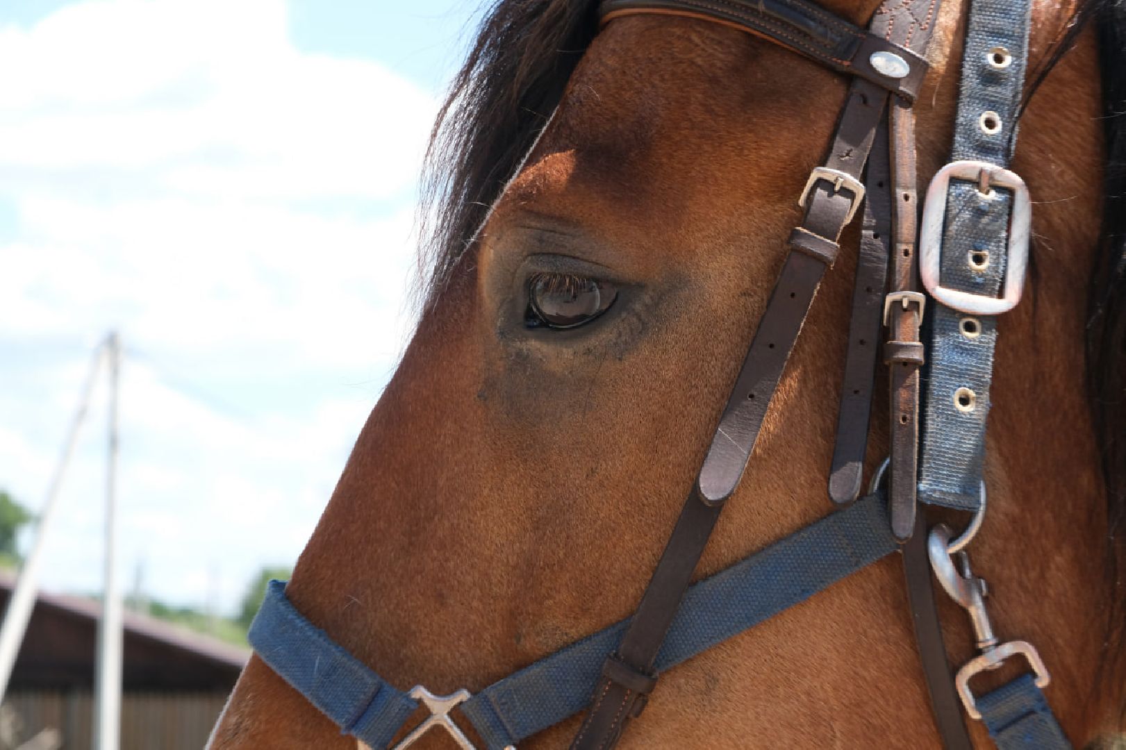 пущино, серпухов, лето в подмосковье, туризм в подмосковье,