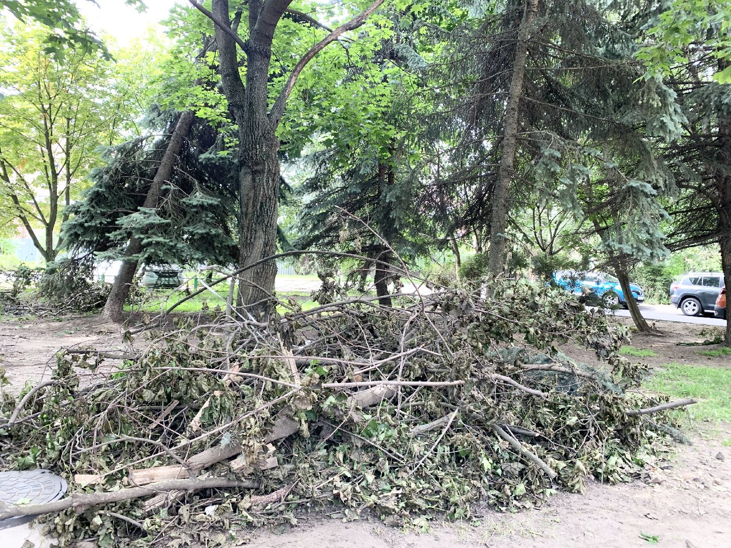 Балашиха, Подмосковье, Благоустройство, пешеходные зоны, парковочные места, дворы, благоустройство дворов,