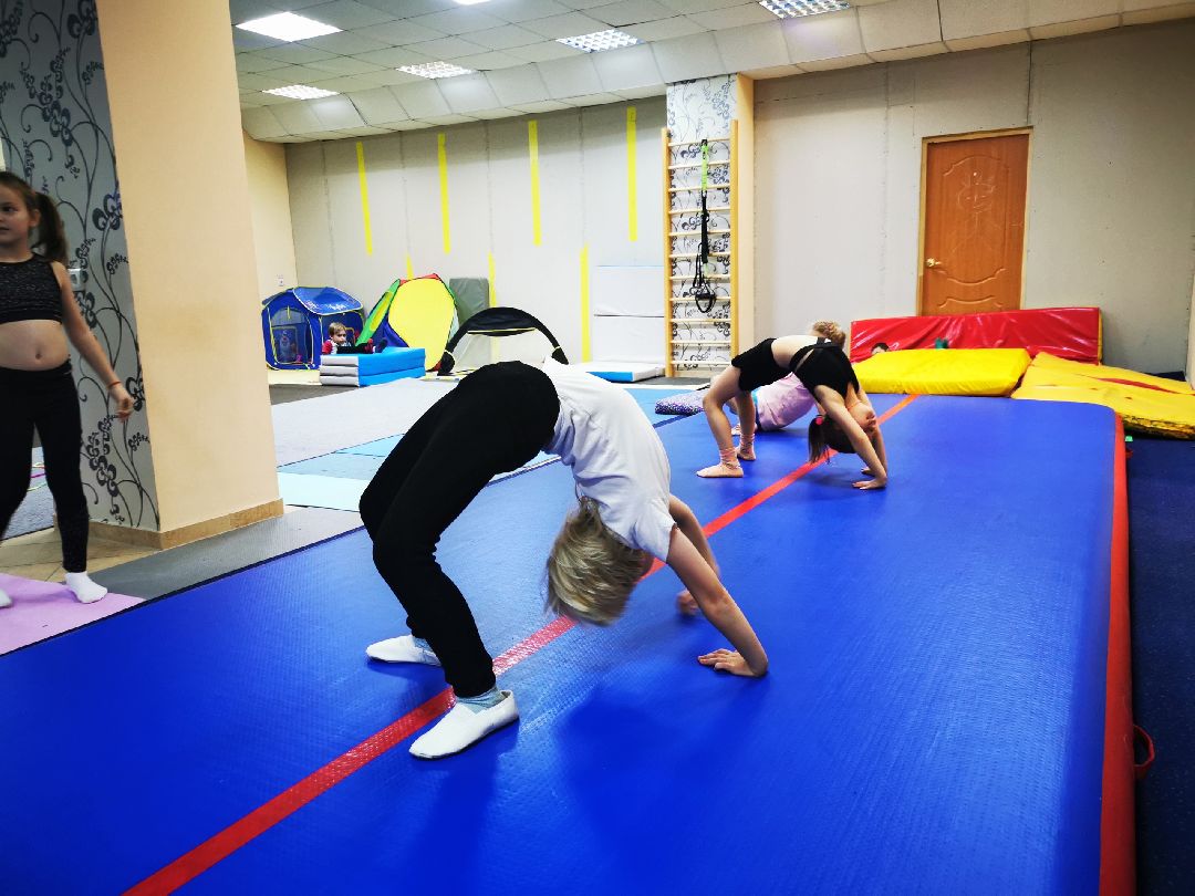 Дубна, общество