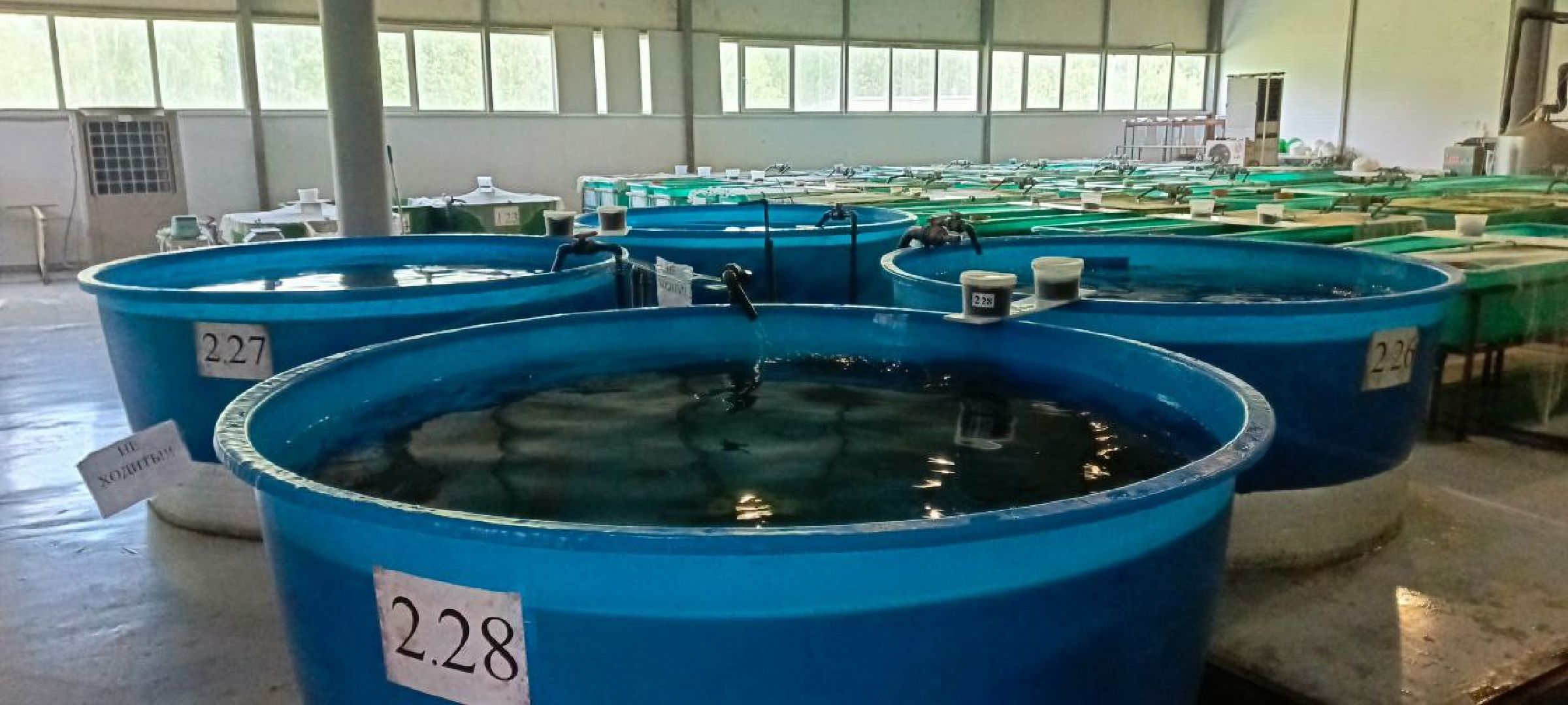 Дмитров, ВНИРО, ВНИИПРХ,