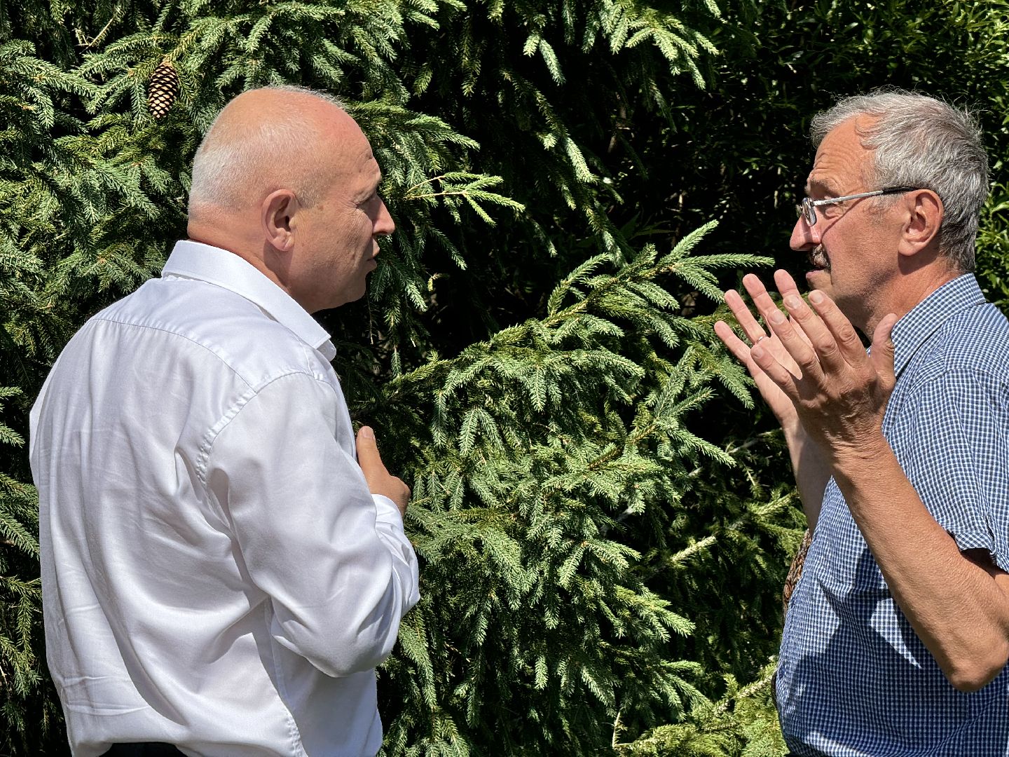 шаховская, выездная администрация, люди, благоустройство,