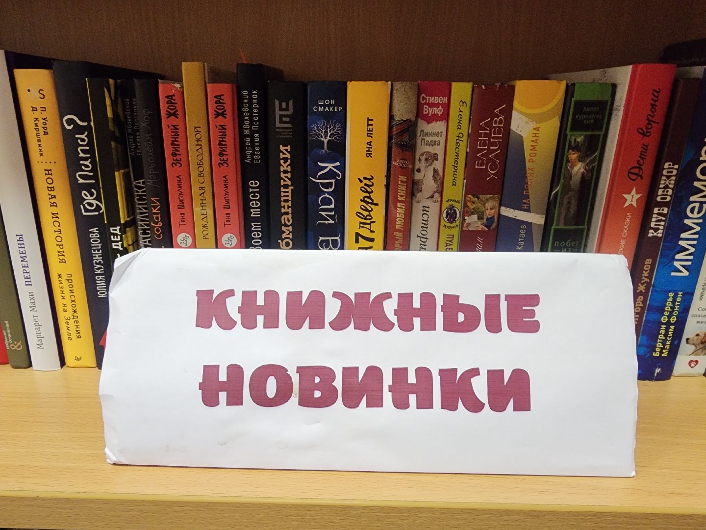 Звенигород, образование подмосковья,
