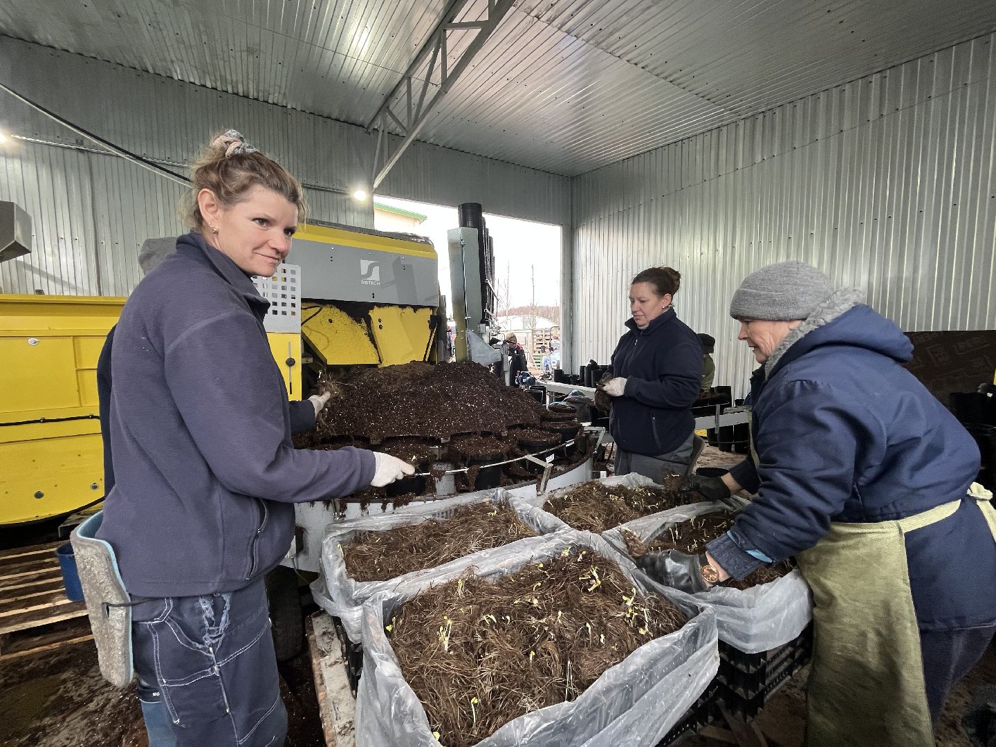 Шаховская, питомник, растения