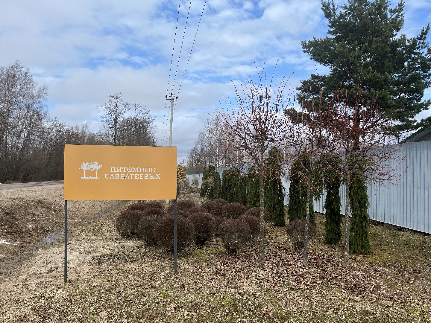 Шаховская, питомник, растения