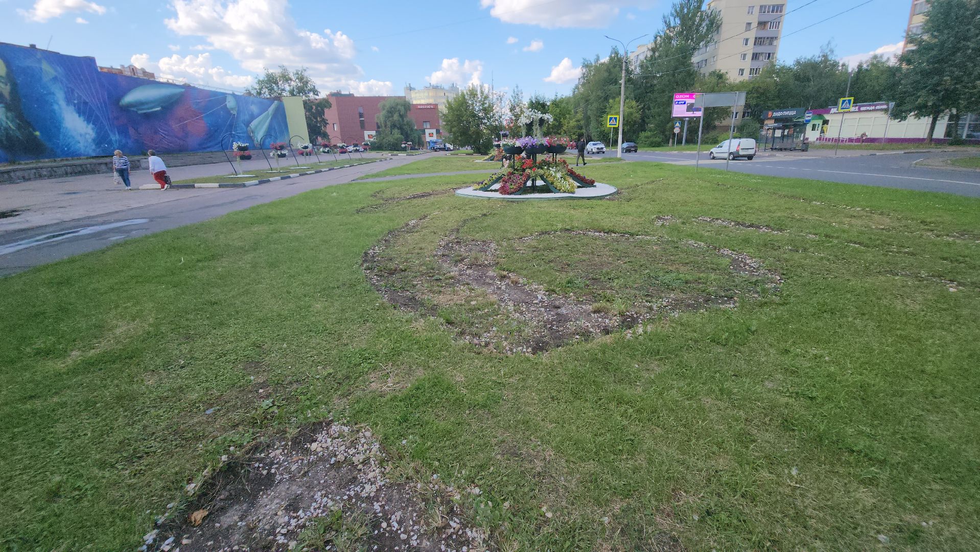 долгопрудный, владислав юдин, клумбы, кашпо, петуньи, дихондры,