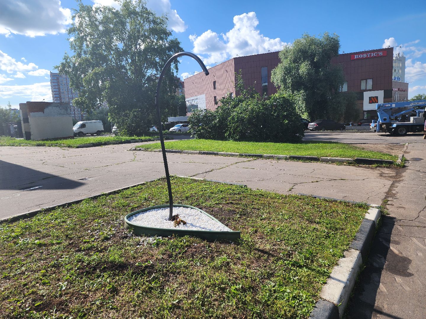 долгопрудный, владислав юдин, клумбы, кашпо, петуньи, дихондры,