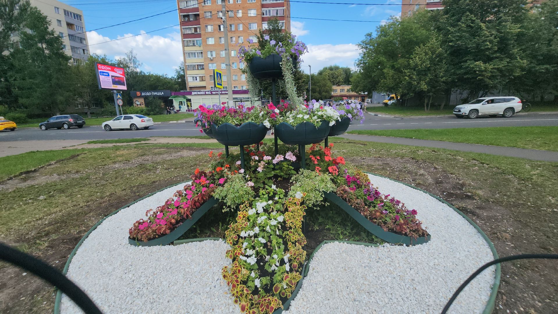 долгопрудный, владислав юдин, клумбы, кашпо, петуньи, дихондры,