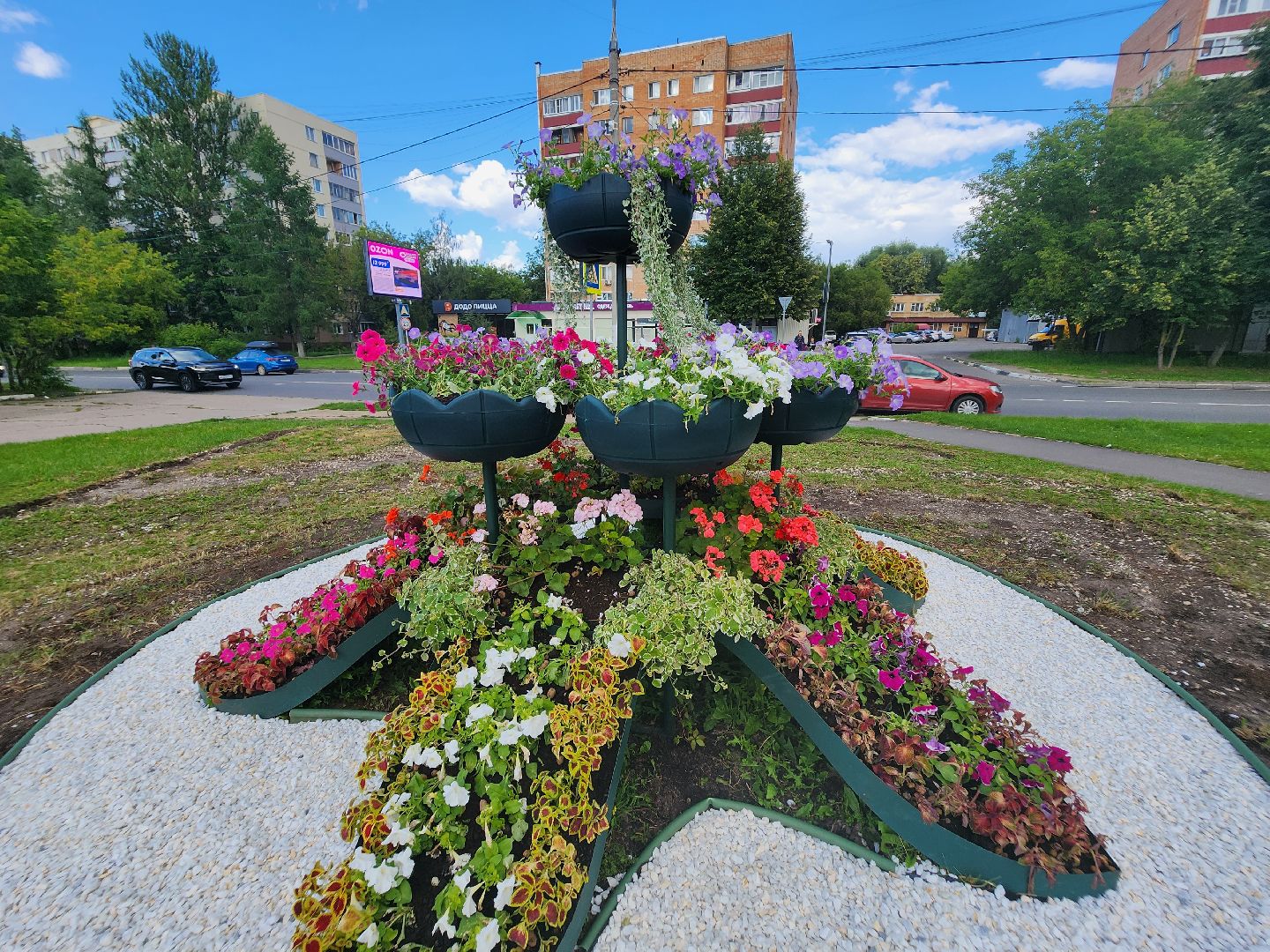 долгопрудный, владислав юдин, клумбы, кашпо, петуньи, дихондры,