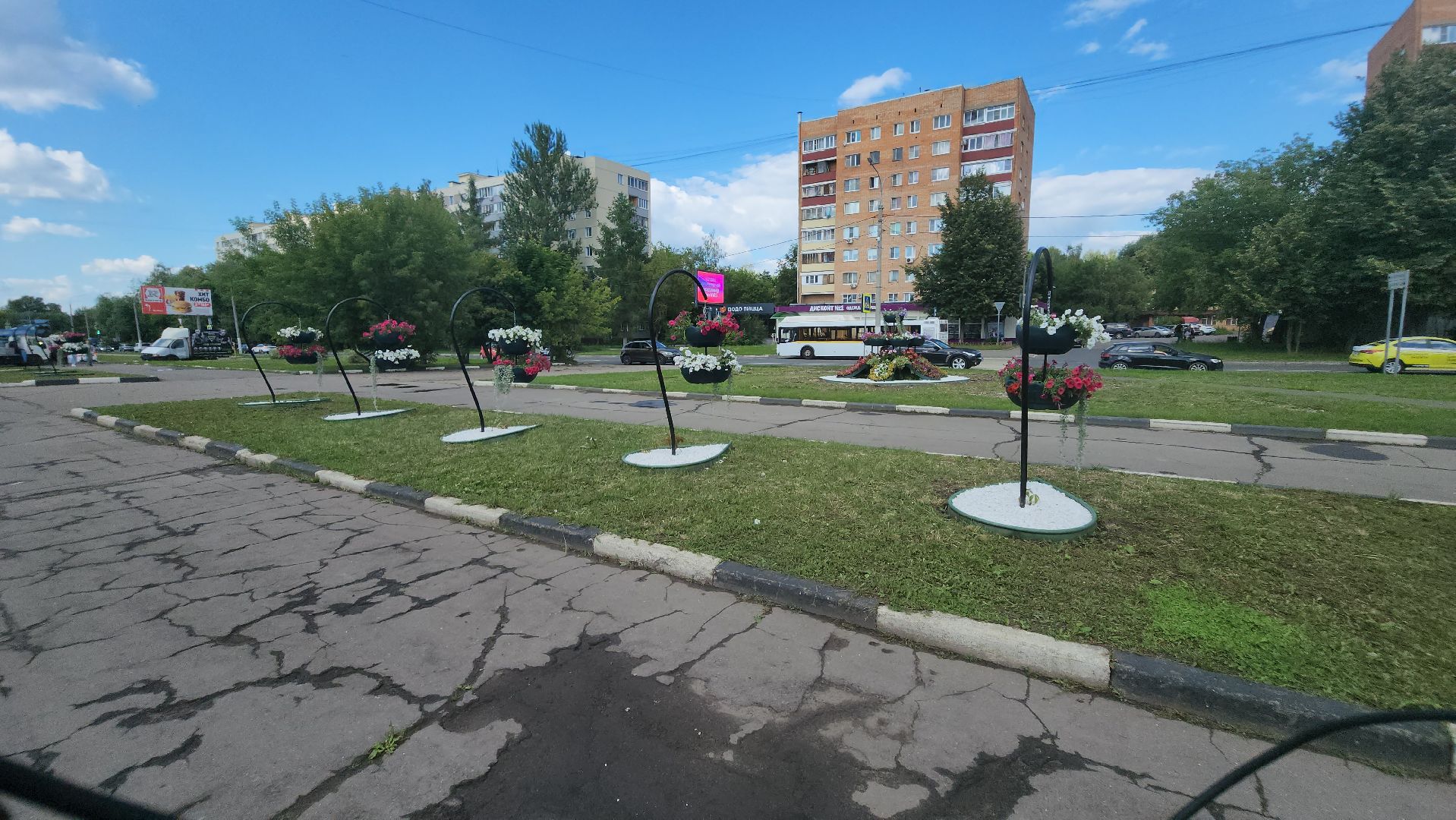 долгопрудный, владислав юдин, клумбы, кашпо, петуньи, дихондры,