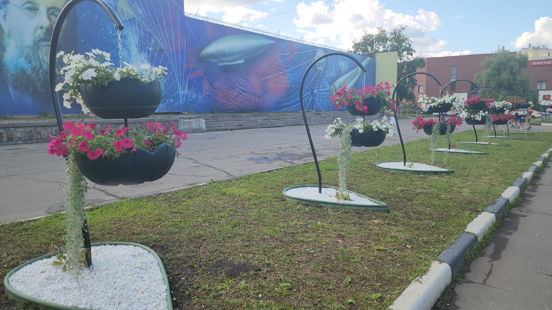 долгопрудный, владислав юдин, клумбы, кашпо, петуньи, дихондры,