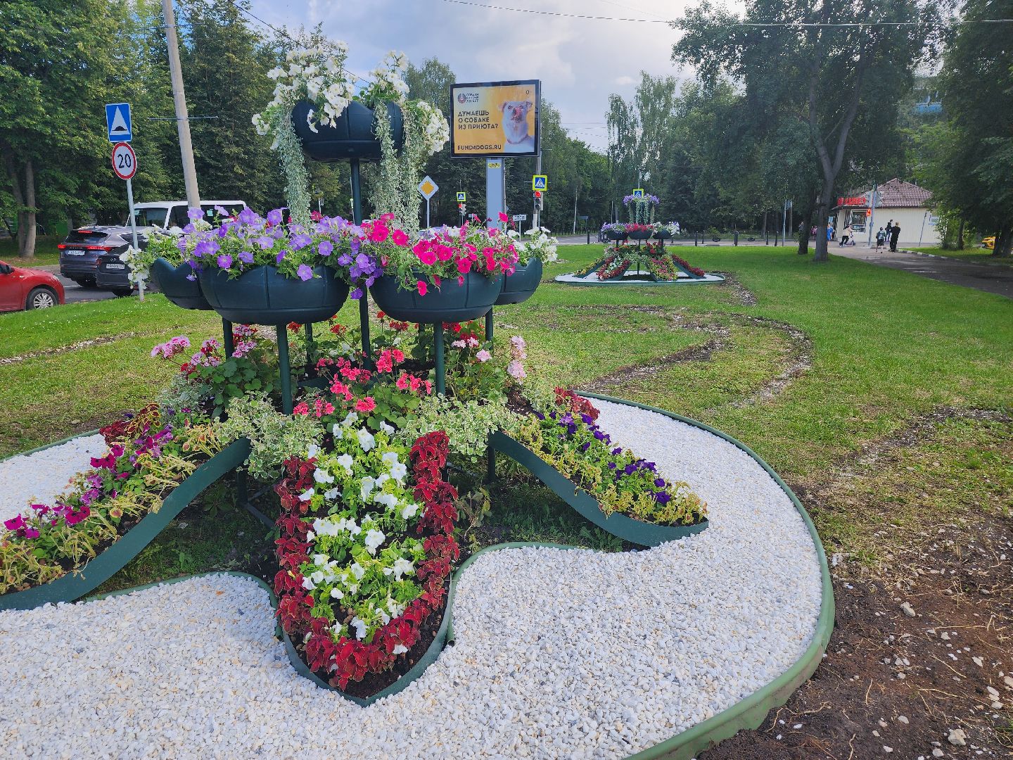 долгопрудный, владислав юдин, клумбы, кашпо, петуньи, дихондры,